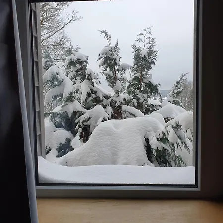 Wlodgeone Braunlage