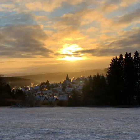 Guest house Wlodgeone Braunlage